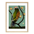 John Baird Unlikely Lorikeet