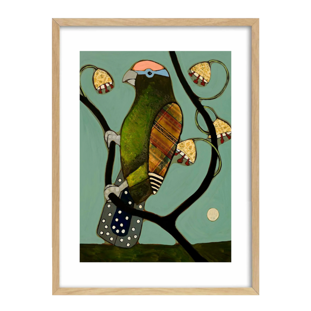 John Baird Unlikely Lorikeet